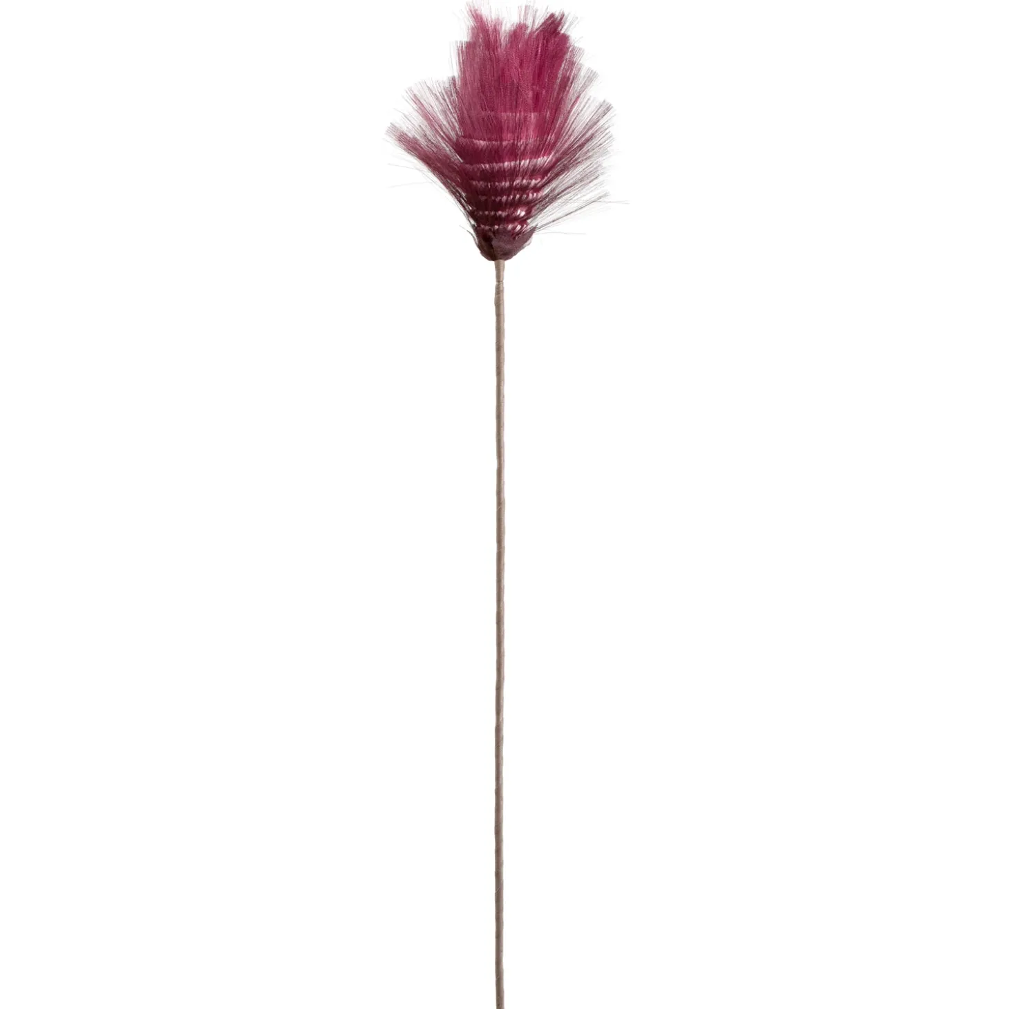 Blütenstamm BELLAGIO 88 cm beere 1 Blüte