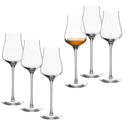 Grappaglas BRUNELLI 210 ml 6er-Set