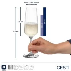 Kelchglasset CESTI 12-teilig + Poliertuch