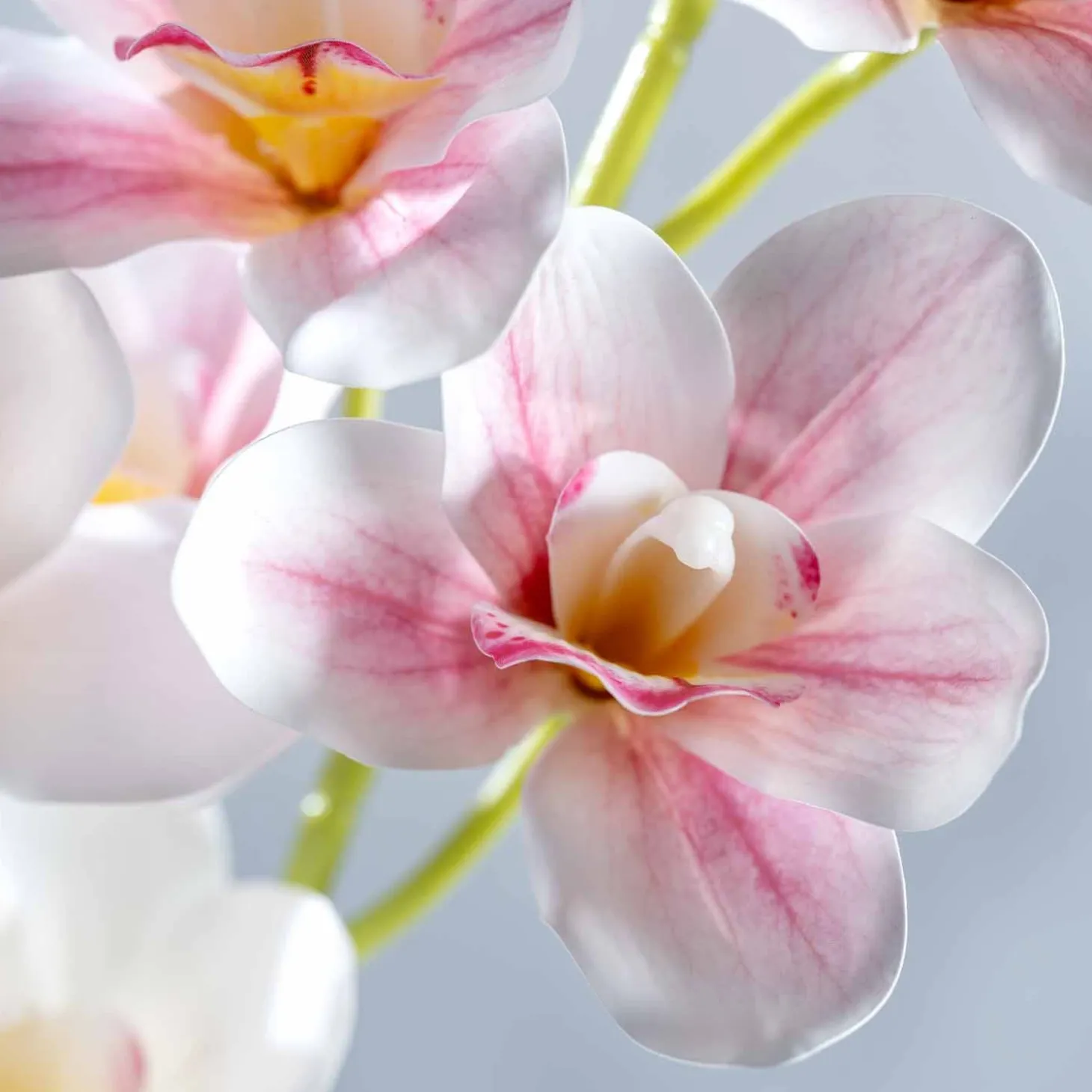 Orchidee FIORE 90 cm pink