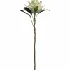 Prothea FIORE 56 cm weiß