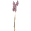 Sea Holly VERNAZZA 6er-Set 65 cm lila