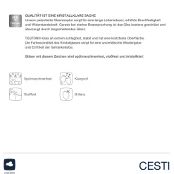 Sektglas CESTI 240 ml 6er-Set + Poliertuch