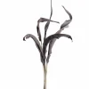 Strelizienblätter FIORE 80 cm taupe 5er-Set