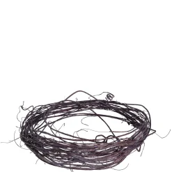 Weinrebe CALMO 200 cm viola